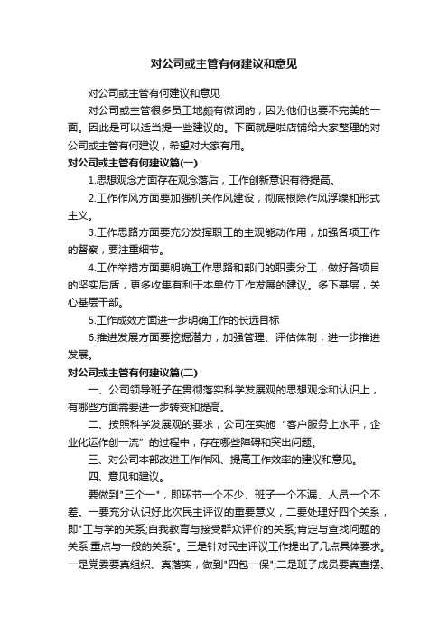 对公司或主管有何建议和意见