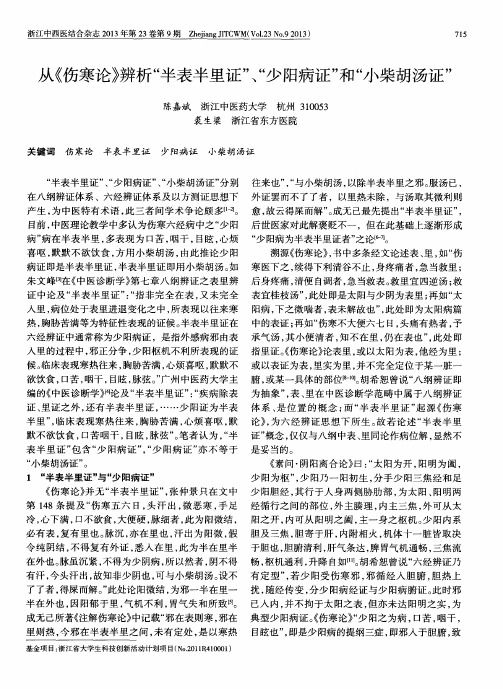 从《伤寒论》辨析“半表半里证”、“少阳病证”和“小柴胡汤证”