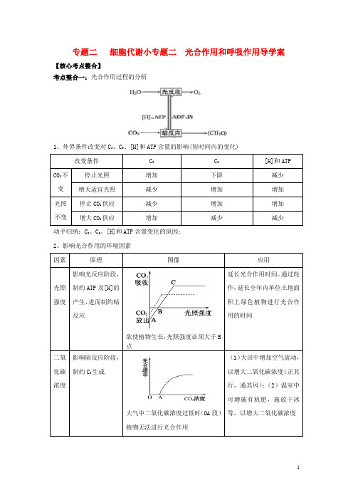 高中生物 小专题二 光合作用和呼吸作用 新人教版