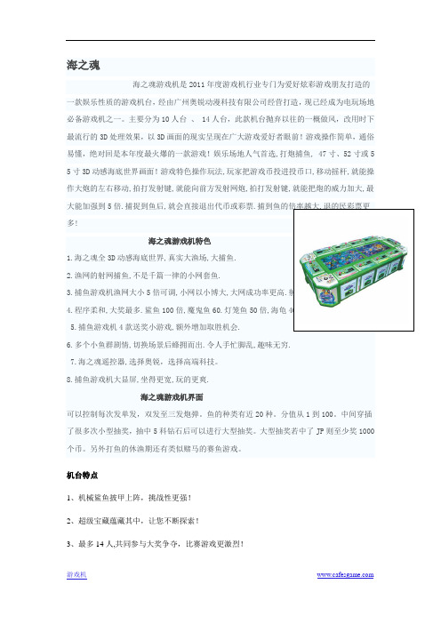 海之魂游戏机-产品介绍