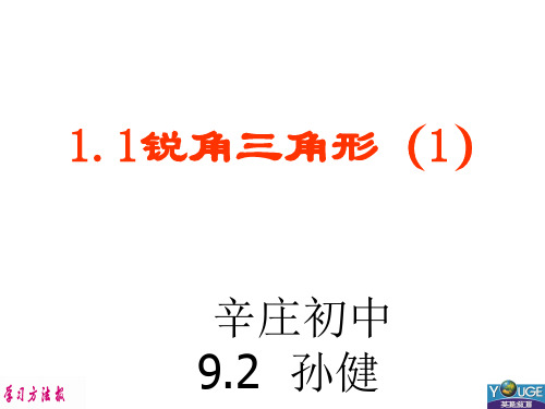 1.1  锐角三角形定义(1)