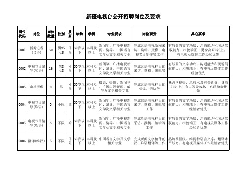 新疆电视台公开招聘岗位及要求 点击下载