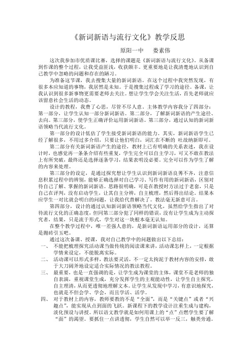 《新词新语与流行文化》教学反思