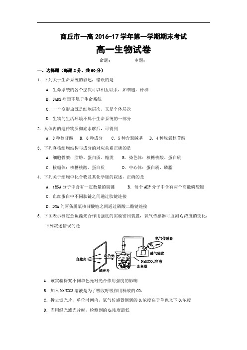 河南省商丘市第一高级中学2016-2017学年高一上学期期