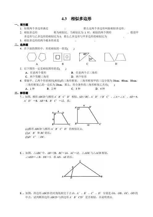 2022年《相似多边形》专题练习(附答案)