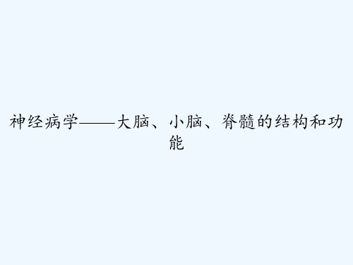 神经病学——大脑、小脑、脊髓的结构和功能-PPT