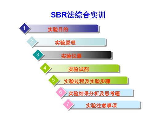 SBR法工艺