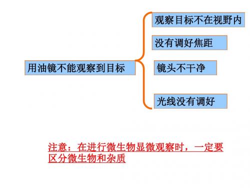 2019年实验酵母菌形态结构观察微生物大小测定和微生物.ppt