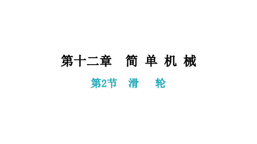 12.2  滑   轮 课后作业课件—2020-2021学年人教版八年级物理下册