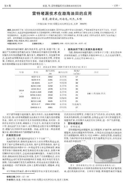 雷特堵漏技术在渤海油田的应用