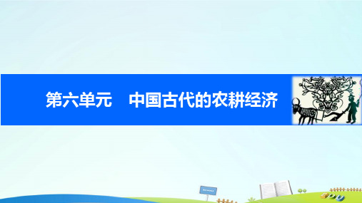 高考历史一轮复习 第六单元 中国古代的农耕经济 考点23 古代中国的农业课件 岳麓版