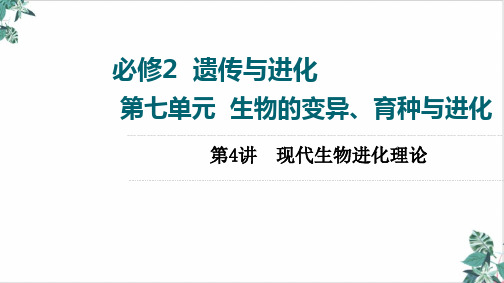 高三一轮复习高考人教版生物第现代生物进化理论课件