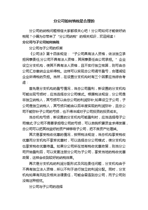 分公司如何纳税是合理的