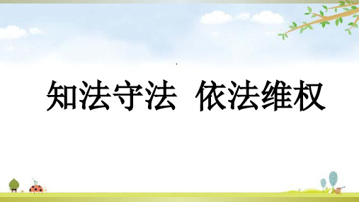 知法守法依法维权PPT优质课件