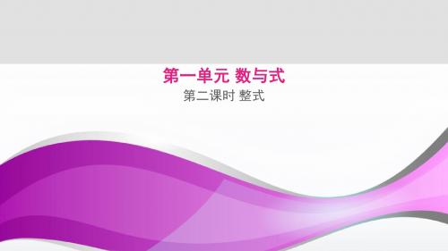 中考(安徽地区)数学复习(课件)参考课件 整式