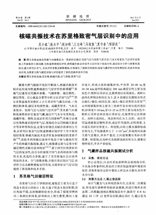 核磁共振技术在苏里格致密气层识别中的应用