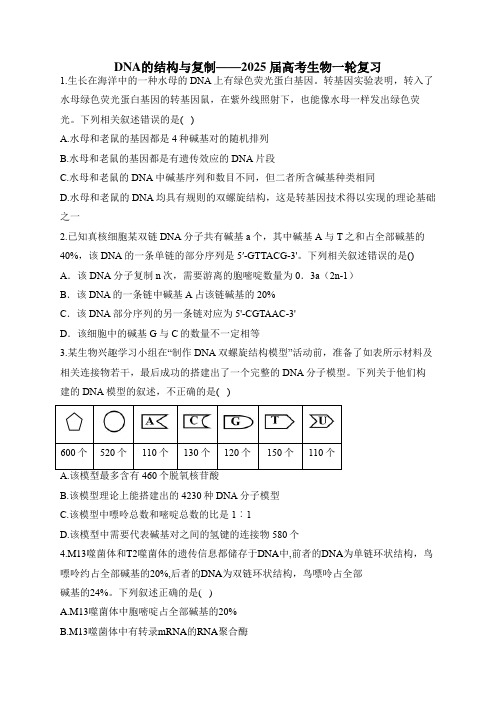 2025+届高考生物一轮复习——DNA的结构与复制