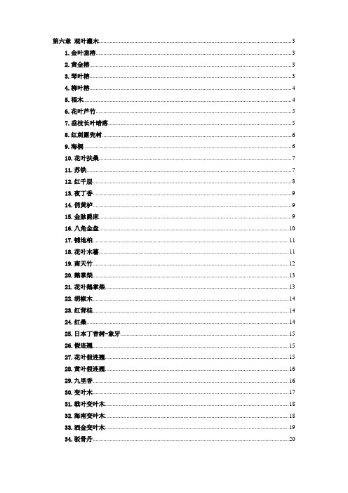 南方园林常用苗木 - 第六章 观叶灌木