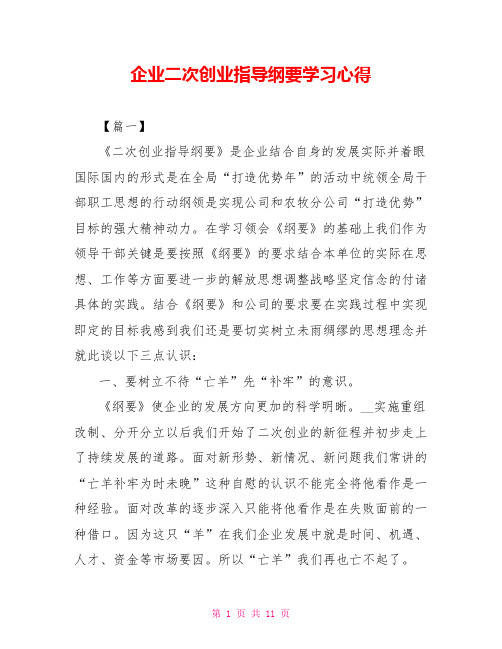 企业二次创业指导纲要学习心得