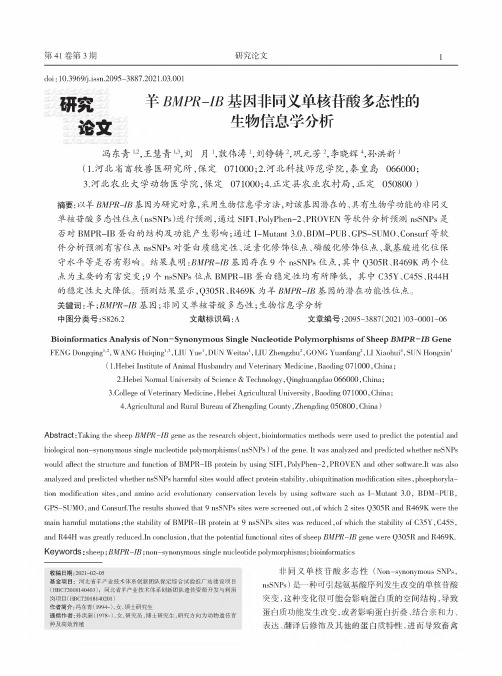 羊BMPR-IB基因非同义单核苷酸多态性的生物信息学分析