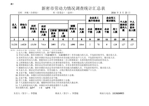 劳动力情况调查统计表-表1