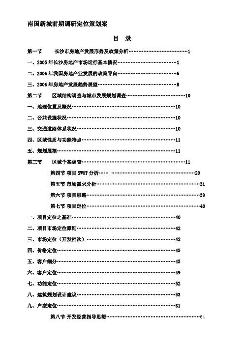 南国新城前期调研定位策划案