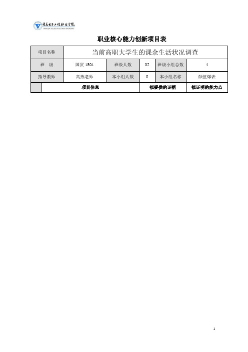 职业核心能力创新项目表