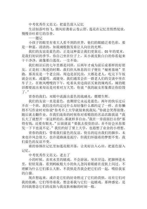 2020年精选中考优秀作文范文:把蓝色留入记忆