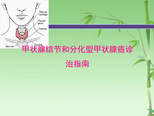 甲状腺结节指南(共70张PPT)