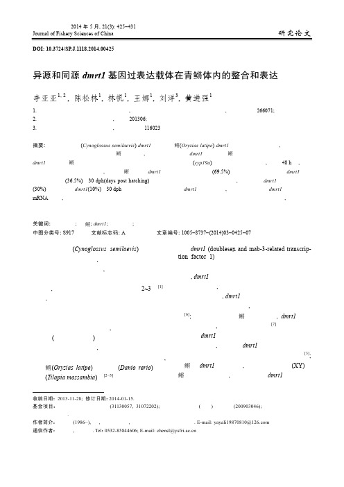 异源和同源 dmrt1 基因过表达载体在青鳉体内的整合和表达