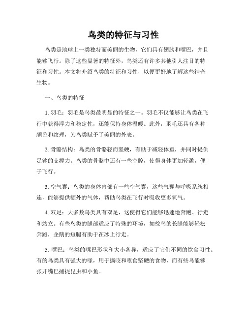 鸟类的特征与习性