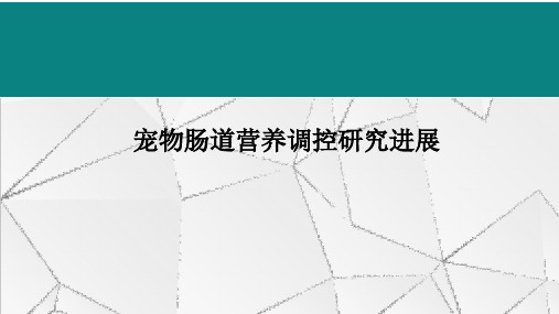 宠物肠道营养调控研究进展动物肠道生态与健康讲座课件