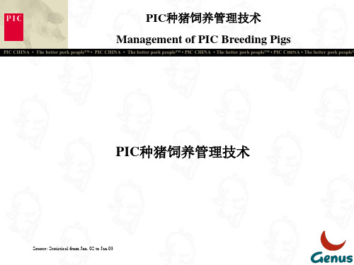 PIC种猪饲养管理技术 ppt课件