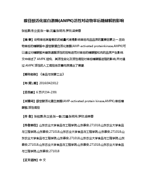 腺苷酸活化蛋白激酶(AMPK)活性对动物宰后糖酵解的影响