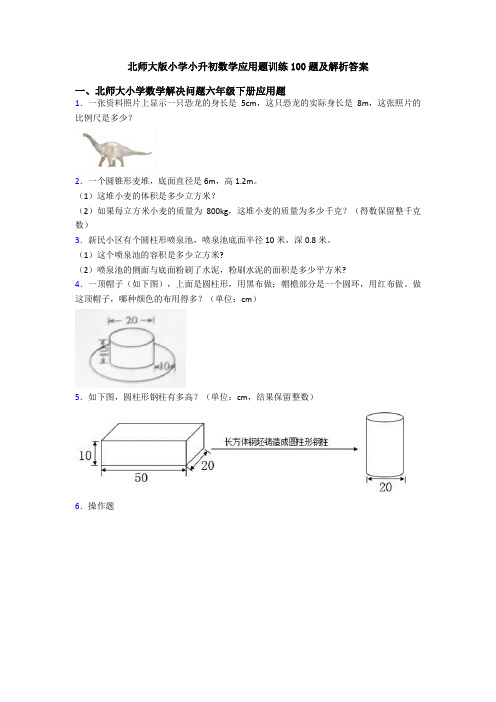 北师大版小学小升初数学应用题训练100题及解析答案