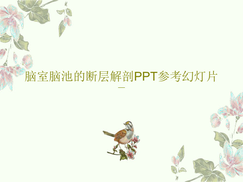 脑室脑池的断层解剖PPT参考幻灯片PPT文档共40页