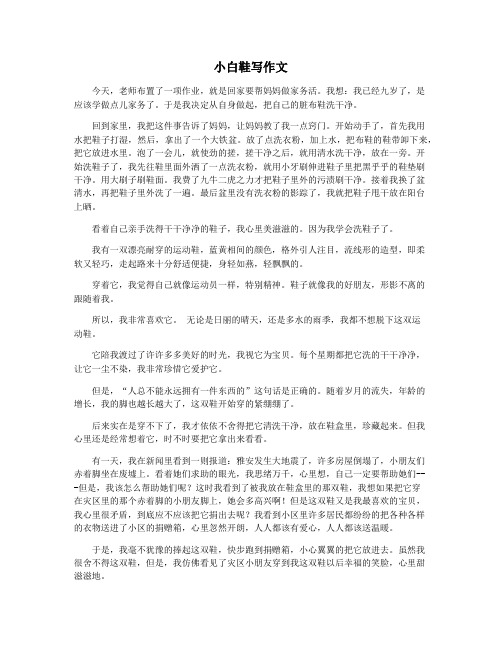 小白鞋写作文