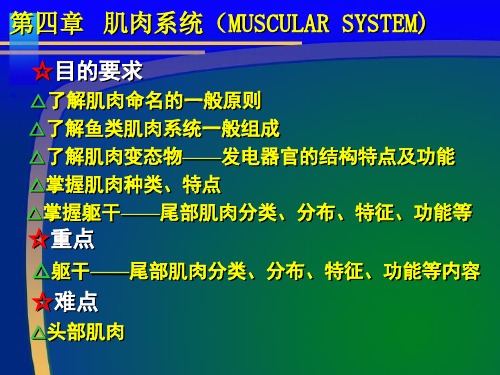 鱼类学