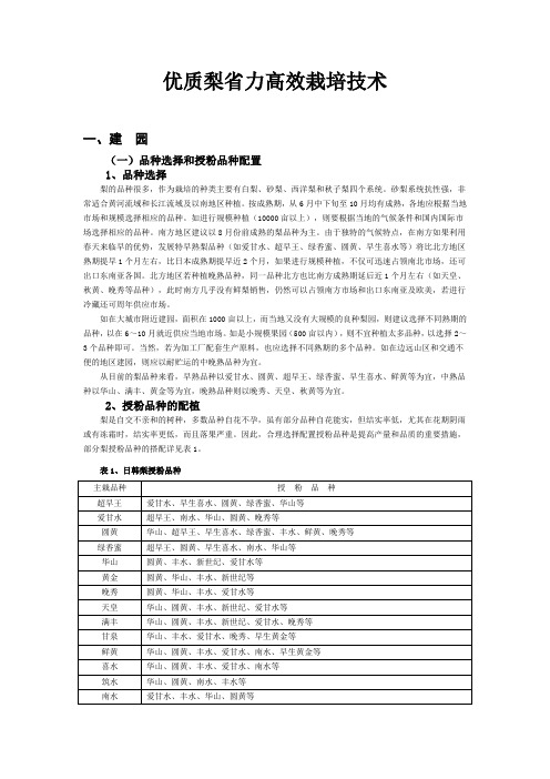 优质梨省力高效栽培技术