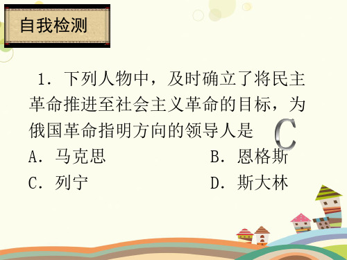 《俄国向何处去》习题 全省一等奖-完整版课件