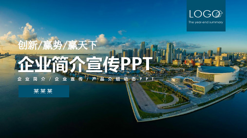 大米公司企业简介范文PPT