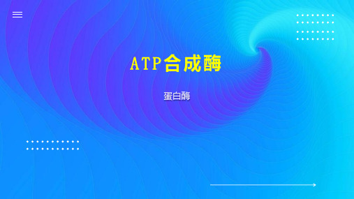 ATP合成酶