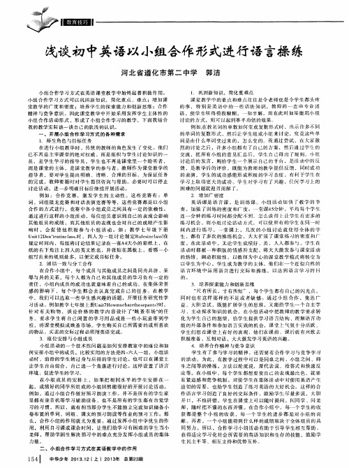 浅谈初中英语以小组合作形式进行语言操练