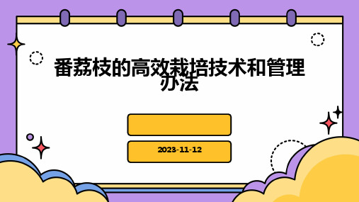 番荔枝的高效栽培技术和管理办法