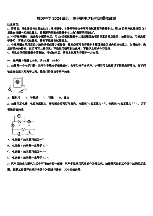 城郊中学2024届九上物理期中达标检测模拟试题含解析