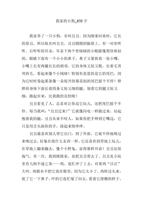 我家的小狗_650字