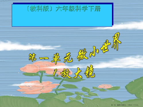 六年级科学下册 放大镜(一)课件 教科版