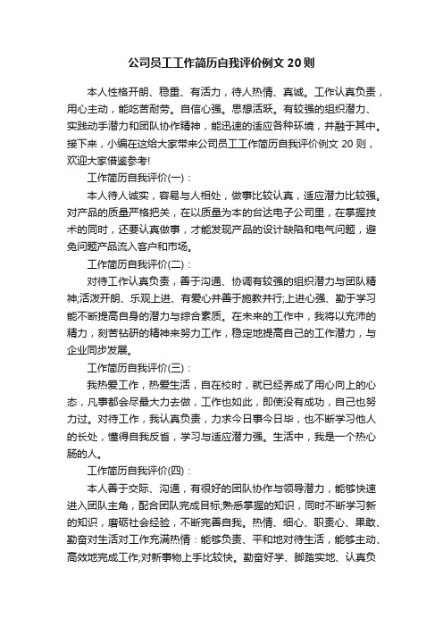 公司员工工作简历自我评价例文20则