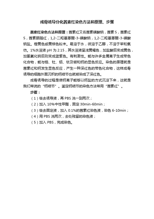 成骨诱导分化茜素红染色方法和原理、步骤