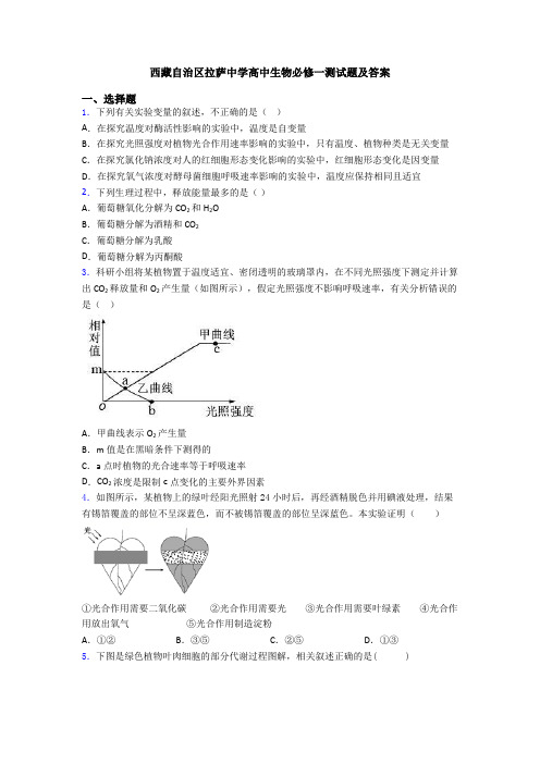 西藏自治区拉萨中学高中生物必修一测试题及答案